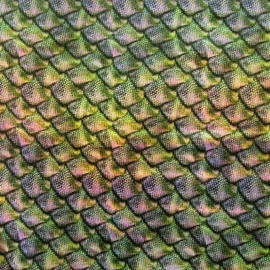Holographic Fish Scale Spandex Fabric