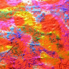 Premium Holographic Print Wall Art