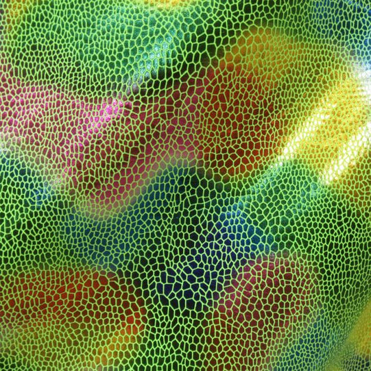 Premium Holographic Print Wall Art