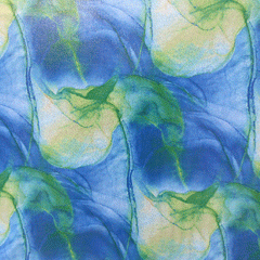 Holographic Print