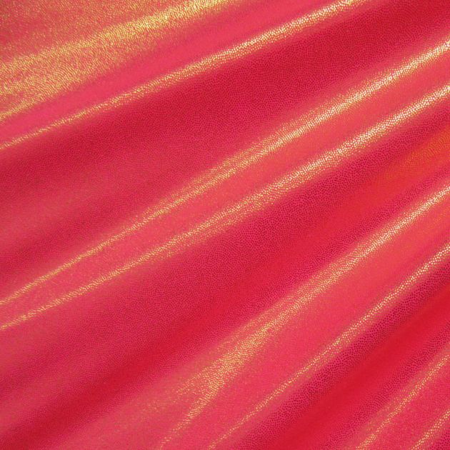 Premium Holographic Print Wall Art