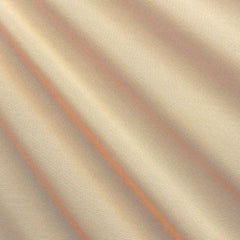 Light Peach Solid Nylon Mesh Fabric (Sheer Mesh)