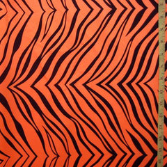 Zebra Print