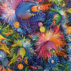 Pandora Jungle