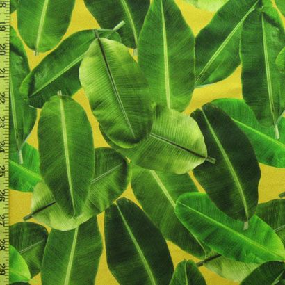 Leaf