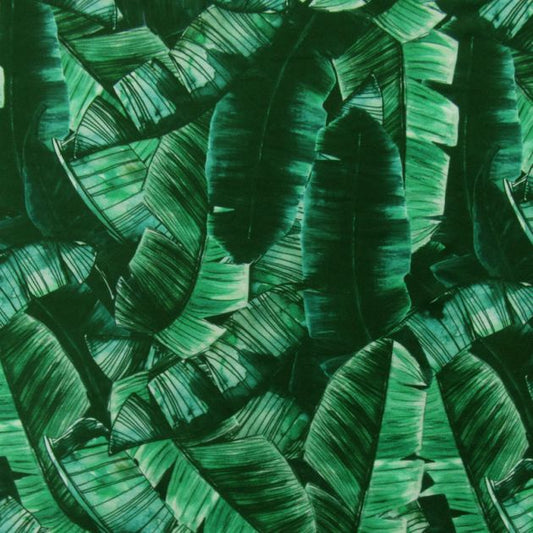 Leaf Print