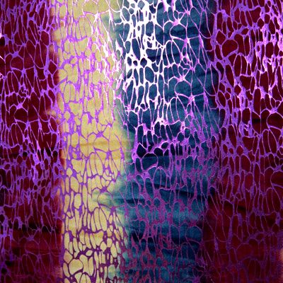 Glitter Velvet