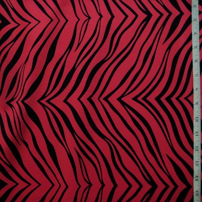 Zebra Print