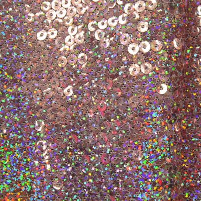 Sequin on Mesh