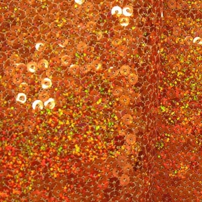 Sequin on Mesh