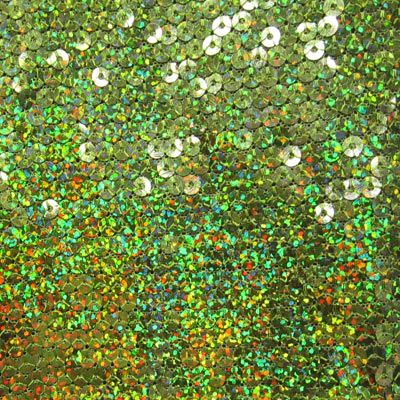 Sequins on Mesh