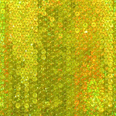 Sequins on Mesh