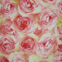 Floral Print