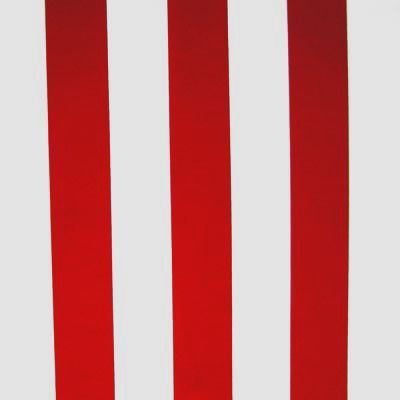 2 inch Vertical Stripe (Matte)