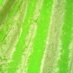 Stretch Crushed Velvet