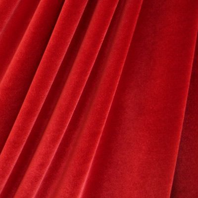 Stretch Velvet