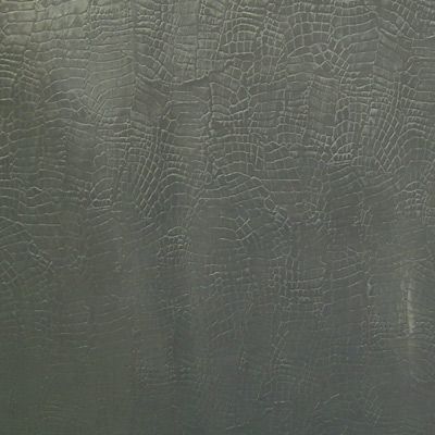 Crocodile Skin