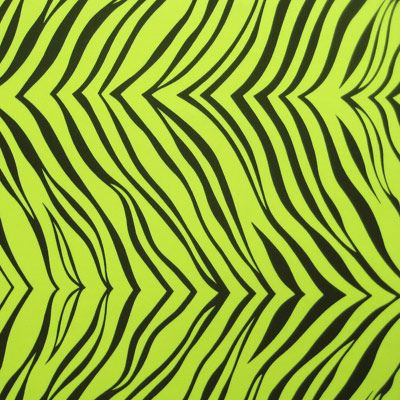 Zebra Print